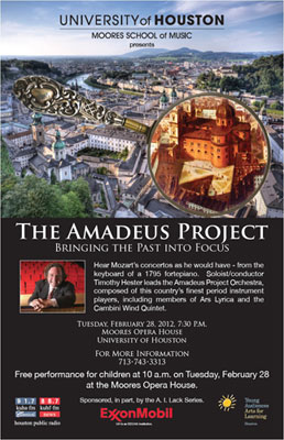 The amadeus project - flyer