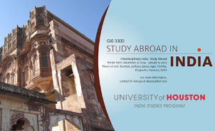 India Studies