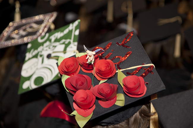 Flying pig among  red roses - artistic visual decorating student's cap