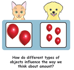 Quantity