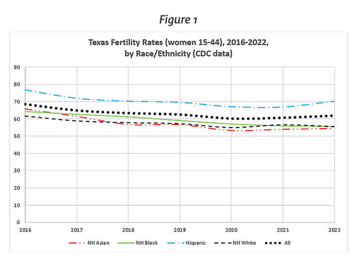 <h3>Texas & Harris County Reproductive Health Update: 2022 Fertility Rates, post 2021 Six-Week Abortion Ban</h3>