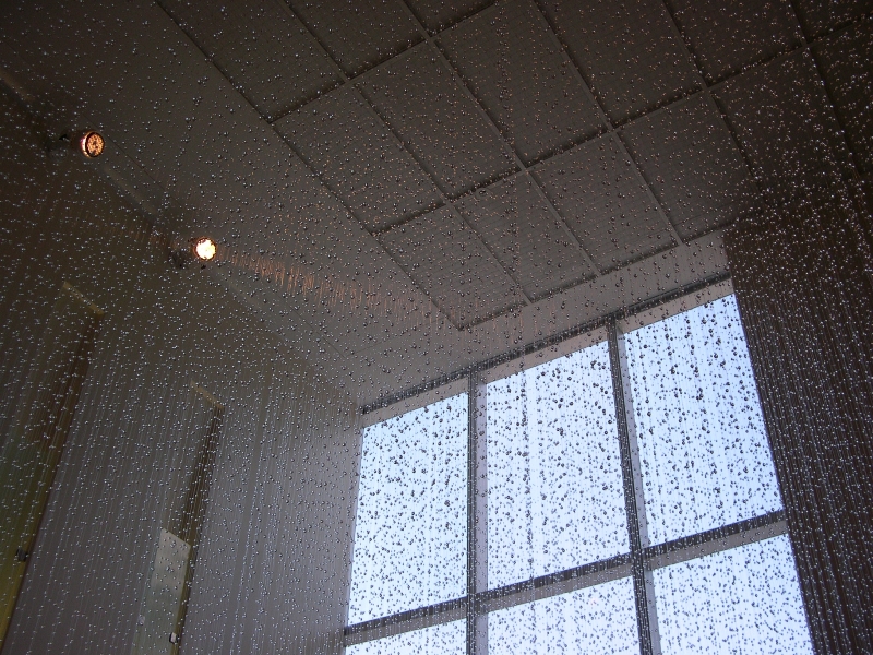 A Moment in Time, 2005
Glass beads and monofilament
Location: Wortham Theatre Box Office Lobby, Main Campus
