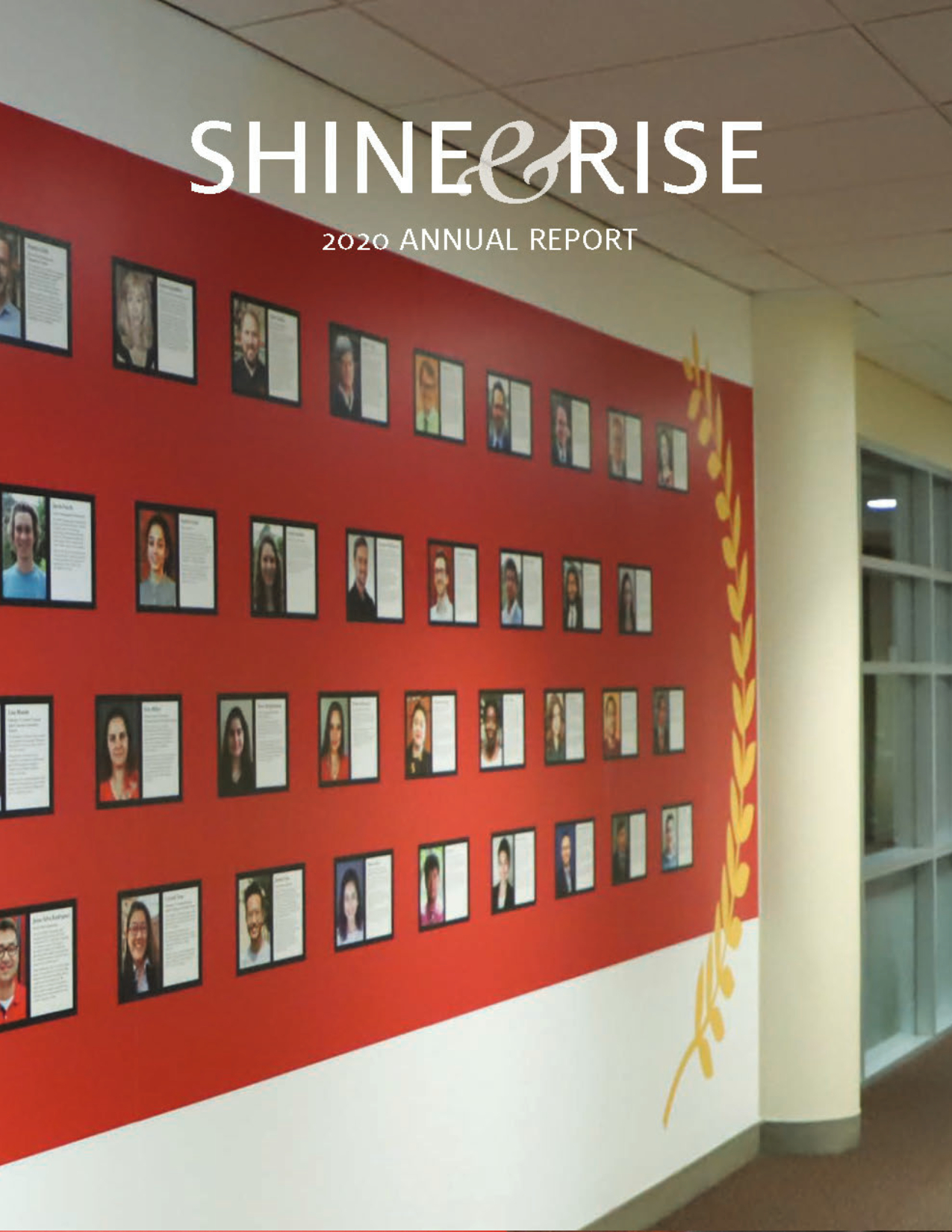 Shine & Rise Annual Report