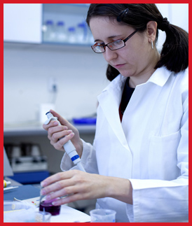Laboratory Work