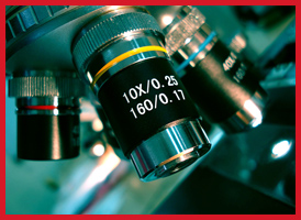 Microscope 10X