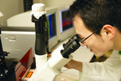 Gene Scene