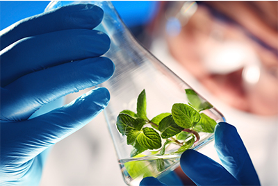 Biotechnology (B.S.)