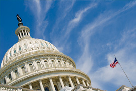 Policy Insider Series