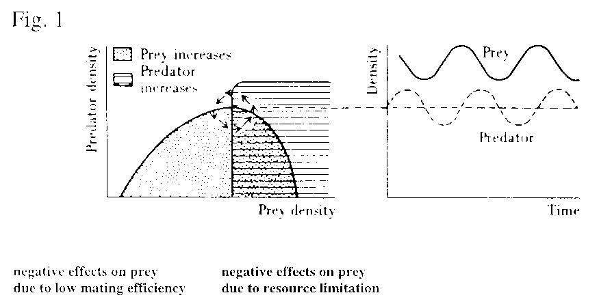 are predator prey relationships density dependent