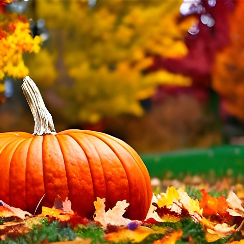 Pumpkin in leaves