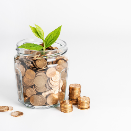 jar full of pennies with a plant coming out
