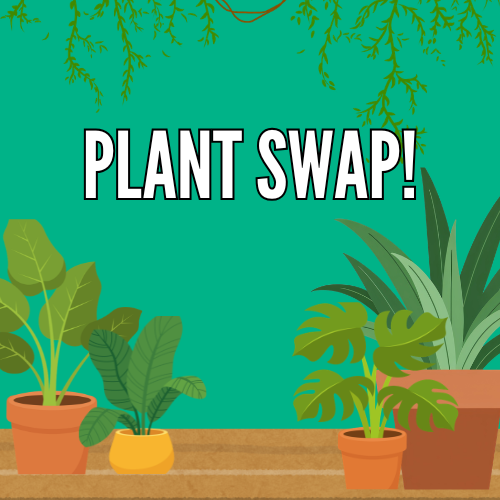 plant swap 