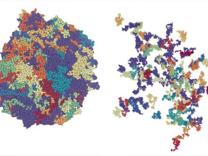 formation of polymorphs