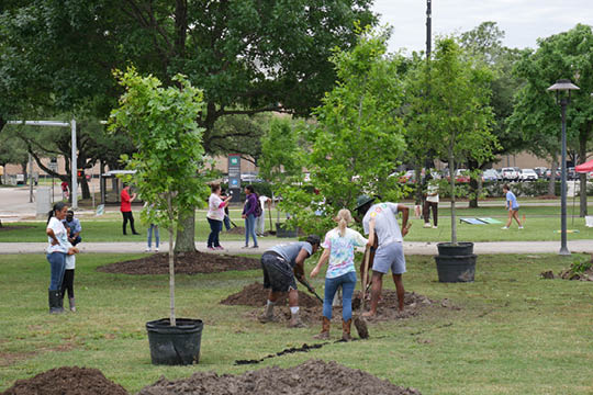 EarthWeek