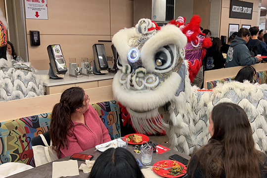 lunar new year