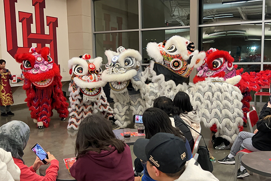 lunar new year