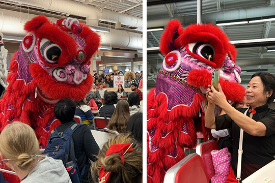 lunar new year