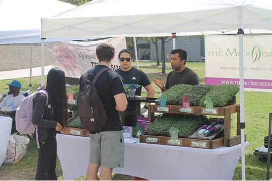 march farmers market