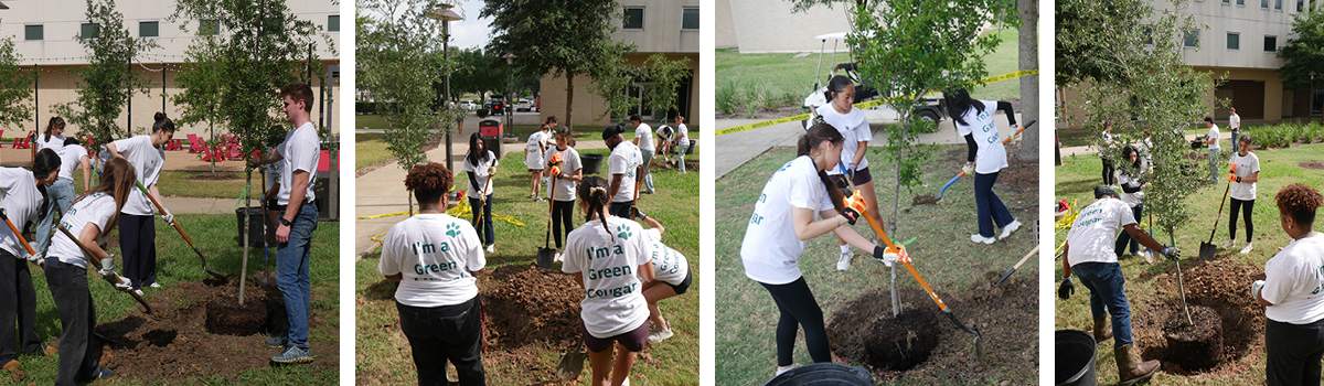 earth week