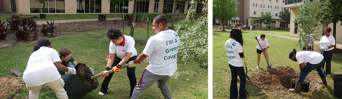 earth week