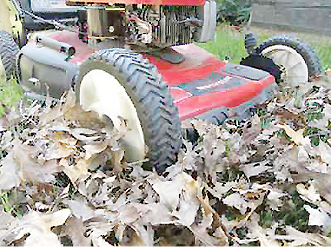 Recycle food and yard waste