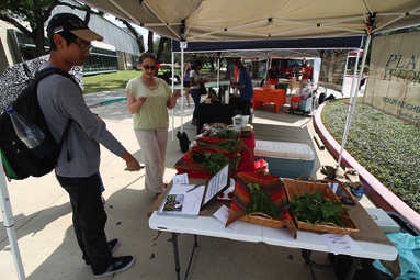 farmer's market