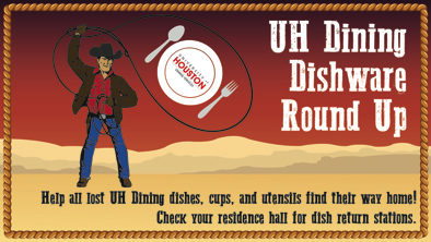 dish roundup