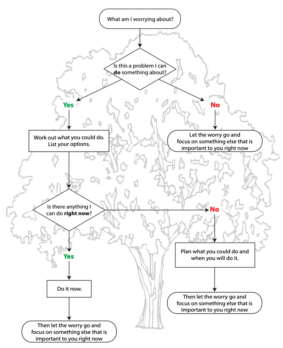 flow chart decision tree - see outline after image