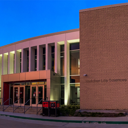 Department of Communication Sciences and Disorders