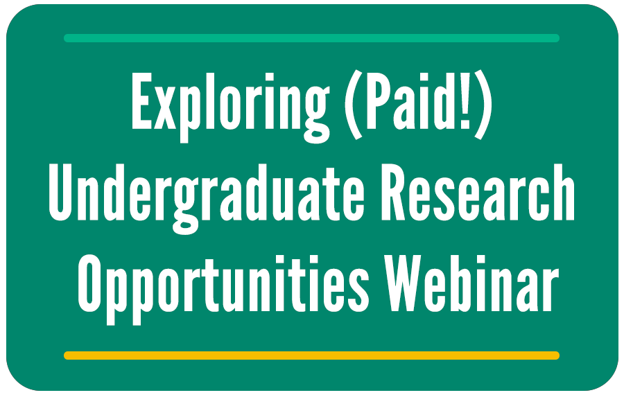 Exploring Paid