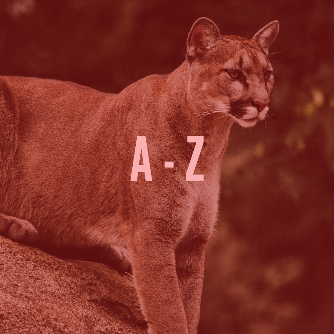 new-a-z-tile.png