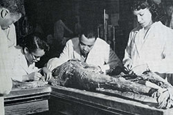 Photo of medical students with cadaver