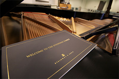 Steinway Piano - inside