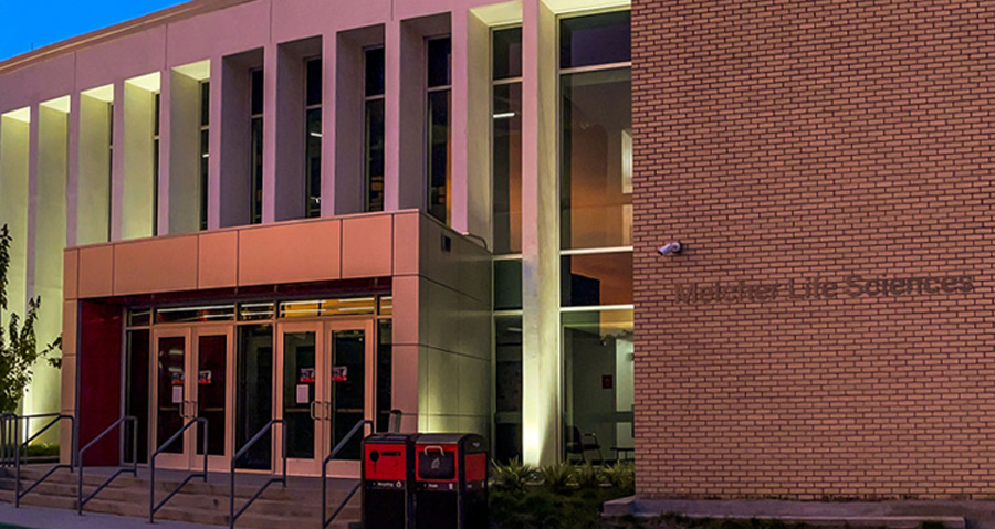Communication Sciences and Disorders celebrates 75 years while charging ahead