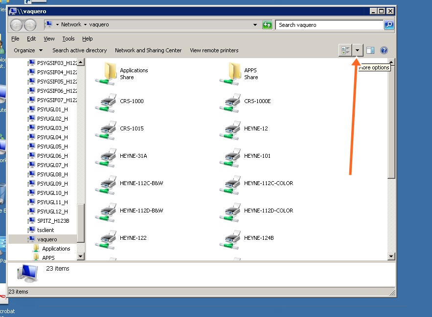 A window will appear showing all of the printers and shared folders on the server. Click