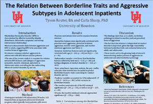 ABCT 2011: BPD traits and Aggressive Subtypes