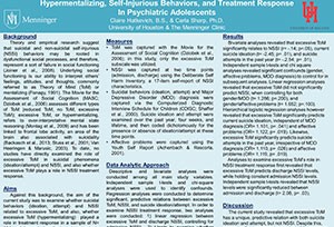 APA 2014: Hypermentalizing, Self-Injurious Behaviors, and Treatment Response in Psychiatric Adolescents
