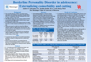 NASSPD 2013: The Relation between Borderline Personality Disorder Features and Teen Dating Violence Victimization in Adolescence
