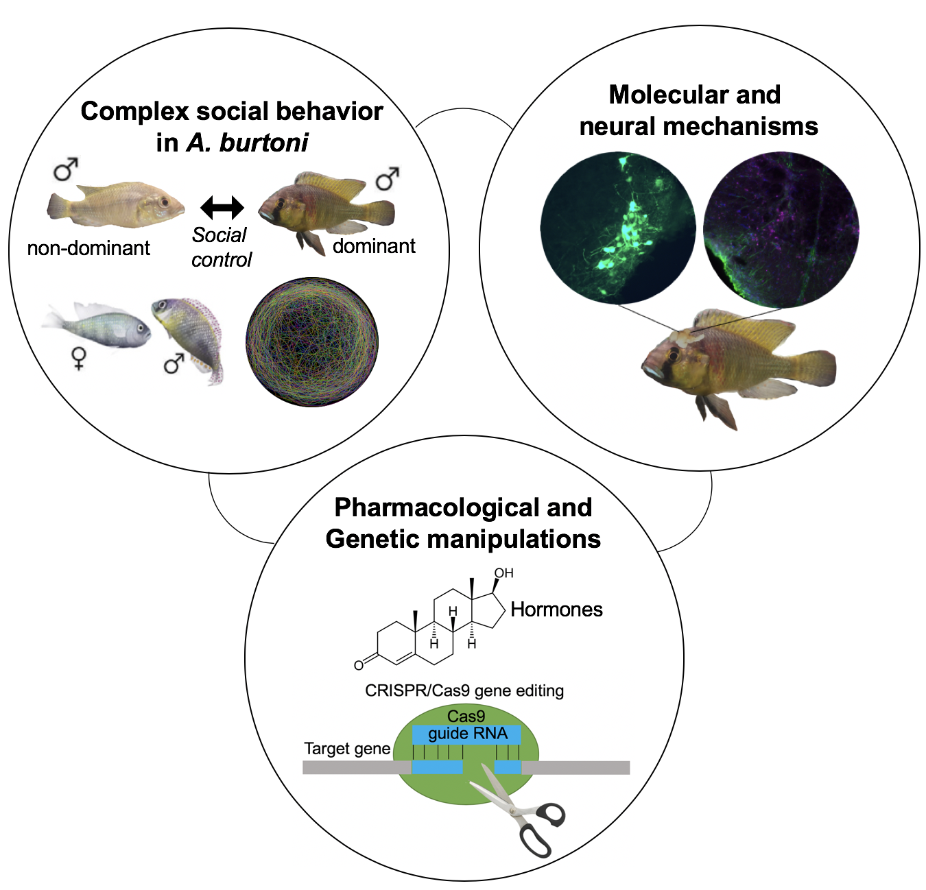 behavioral neuroscience topics