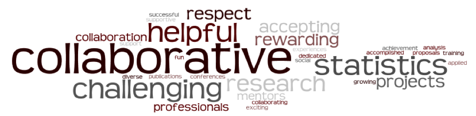 Word Cloud - What our students say about the program