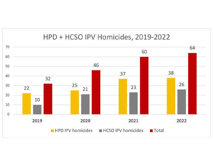 Houston Area Domestic Violence Providers Study Initial Local DV Data Aggregation