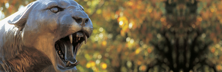 bronze cougar roar 1