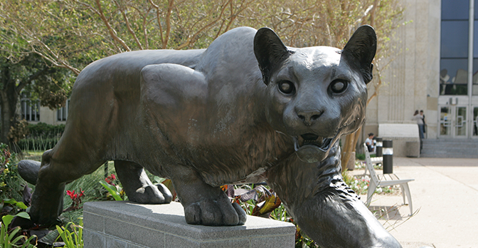 bronze cougar