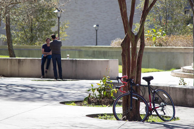 bicycle-by-a-tree.jpg