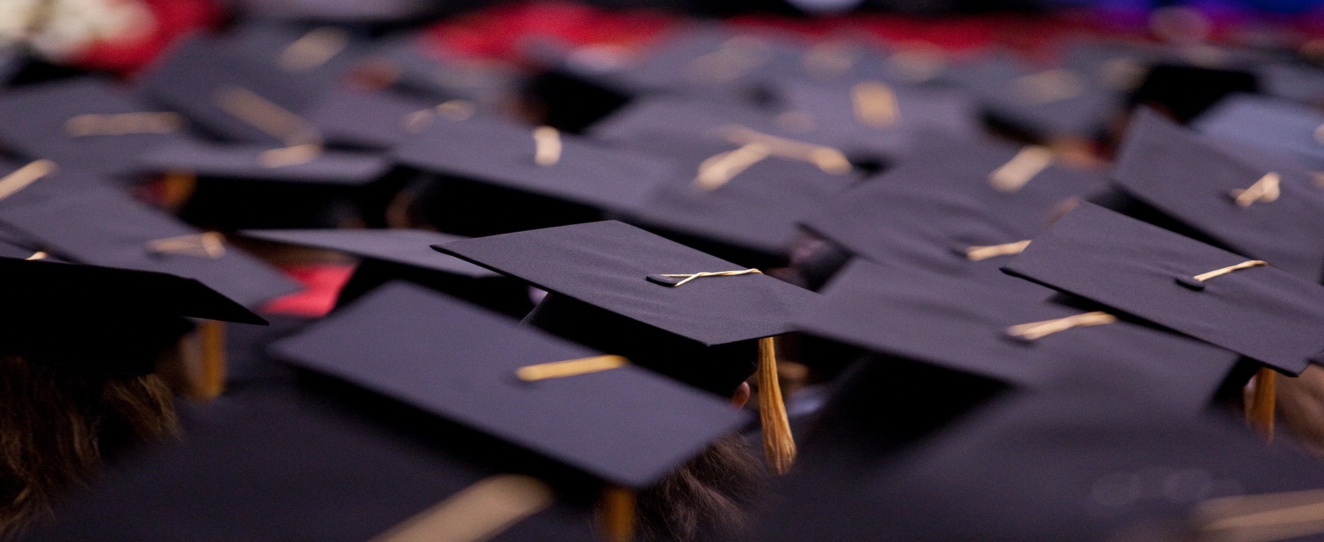 Graduate Academic Advising University Of Houston