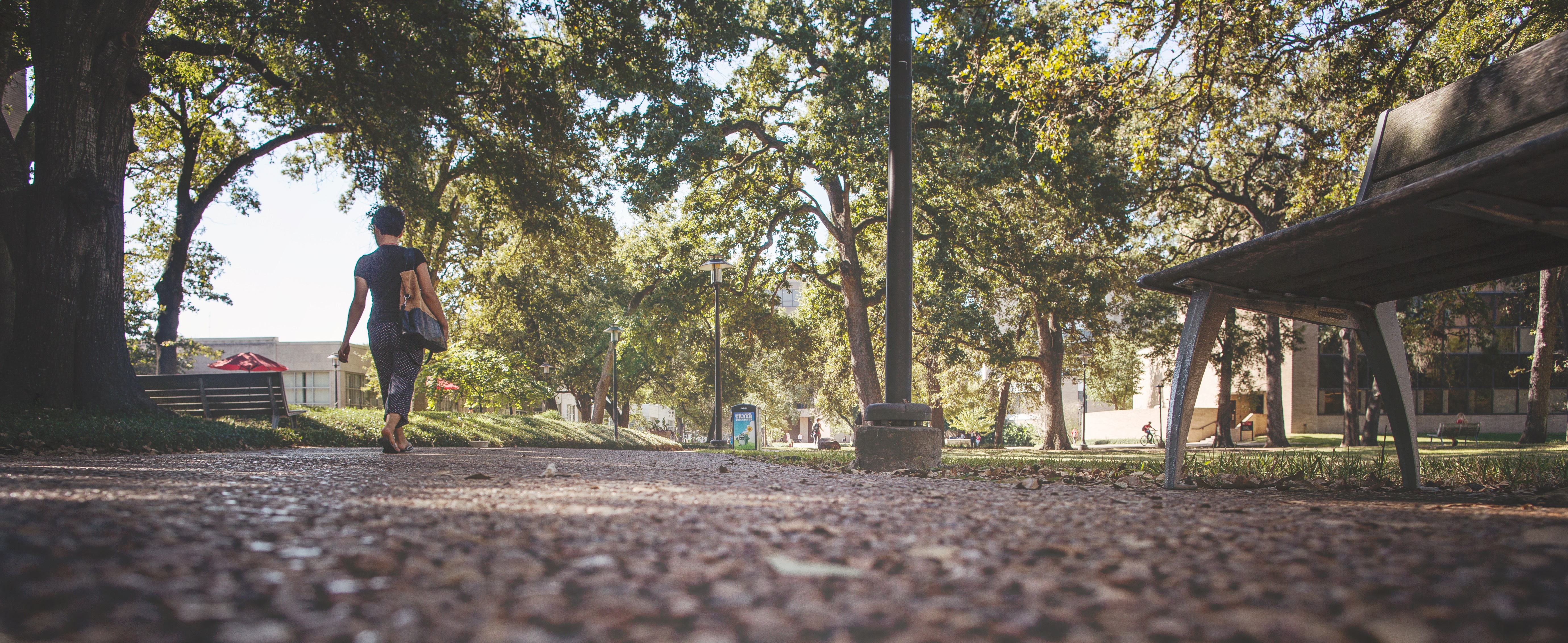 campus view