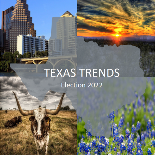 picture of the Austin, Texas skyline, a picture of sunset, a picture of a long horn and a picture of bluebonnets