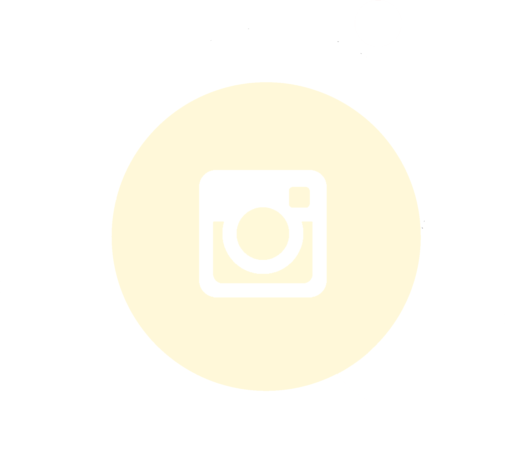 instagram-icon