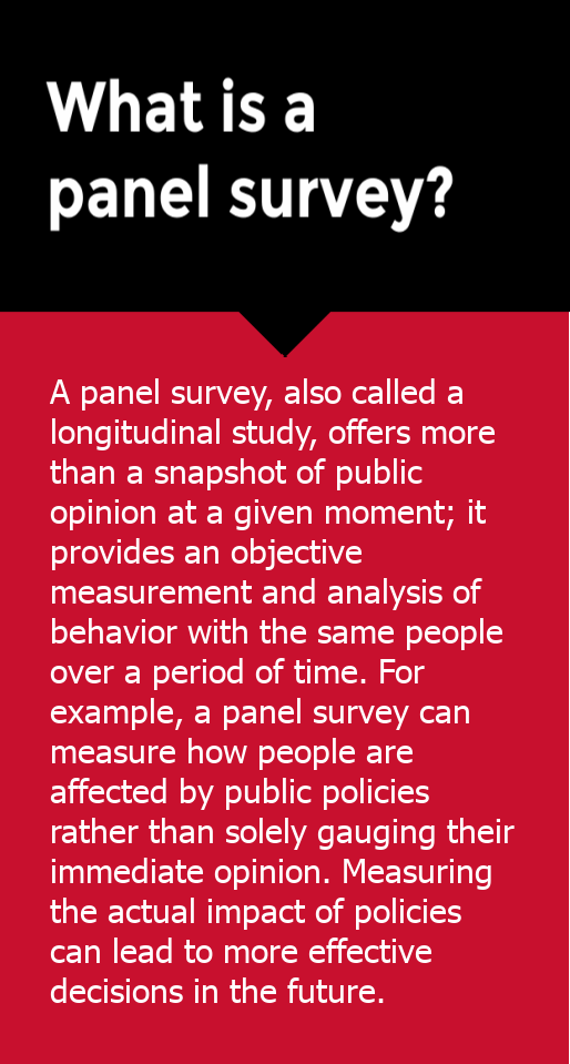 panel-survey-2.png