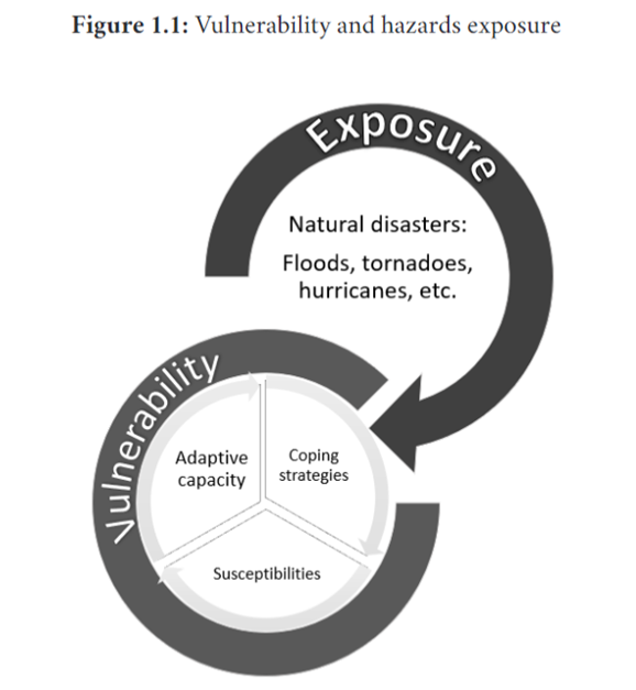 exposure and vulnerability graphic